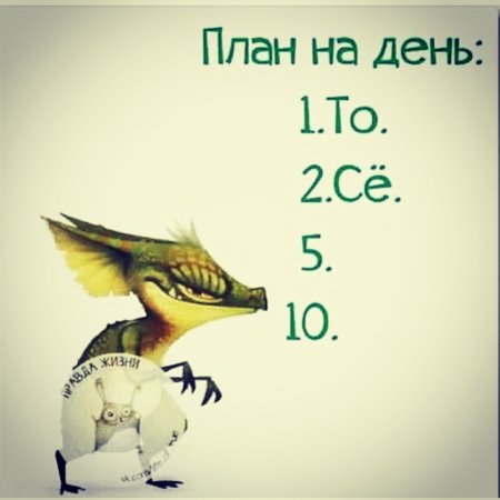 Смешные планы на день