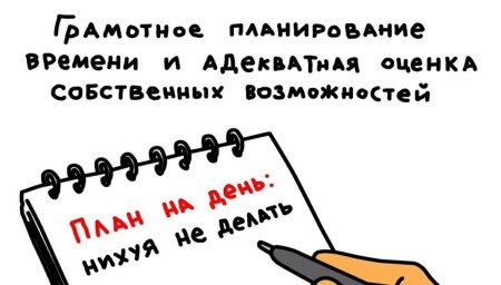 Мои планы на день
