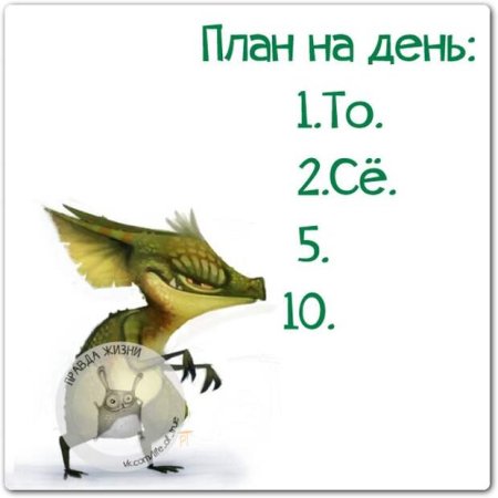 Прикольный план на день