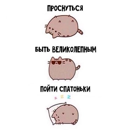 Смешные планы на день