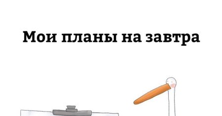 Планы на завтра