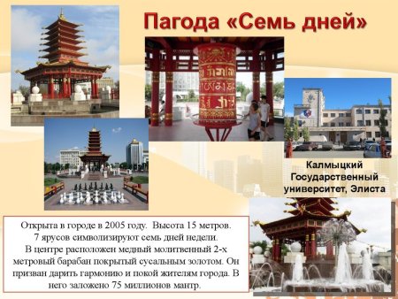 Элиста вектор