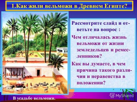 Жизнь египетского вельможи