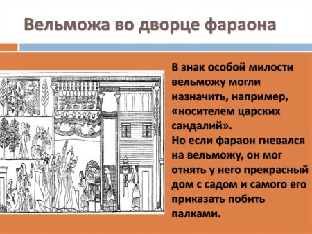 Жизнь вельможи 5 класс