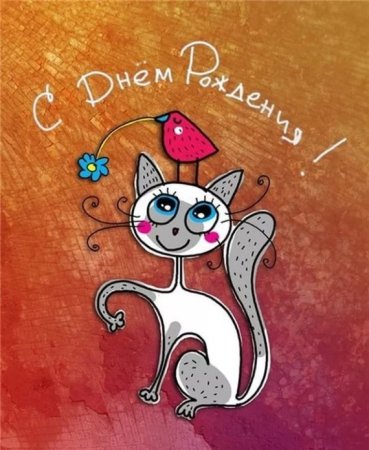 Прикольные поздравления с днем рождения