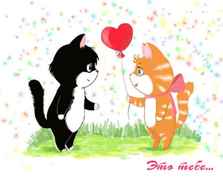 С днём рождения любимый кот