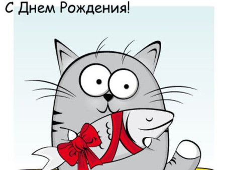 Серый с днем рождения прикольные открытки