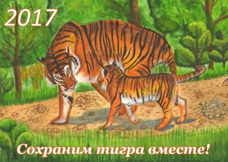 Сохраним тигра вместе