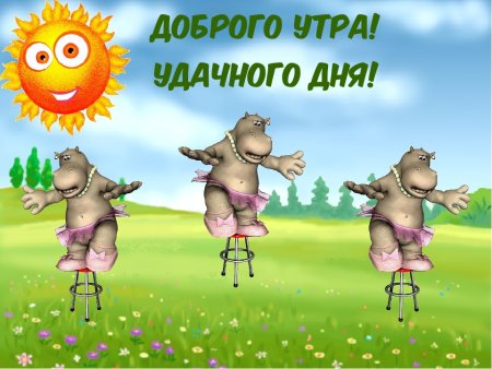 Удачного дня