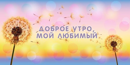 Хорошего дня и настроения