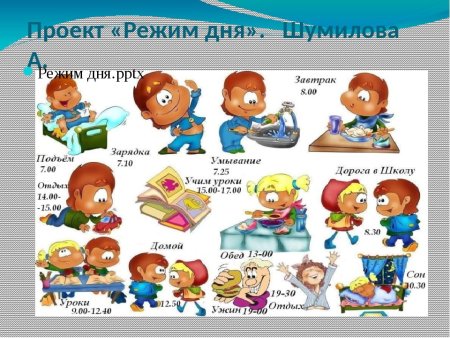 Проект распорядок дня