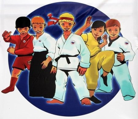 Единоборства дети рисунок