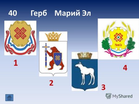 Моя Республика Марий Эл