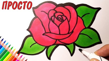 Рисунки цветов для срисовки