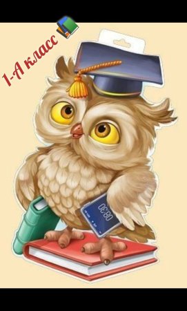 Школьная Сова на прозрачном фоне