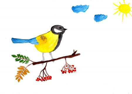 Рисование синицы