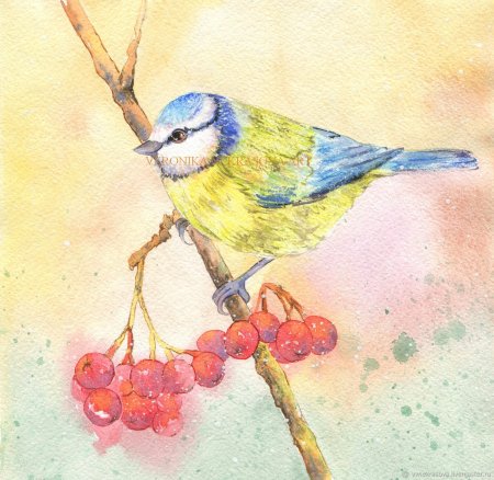 Рисование зимующие птицы