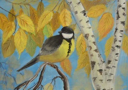 Синица рисунок