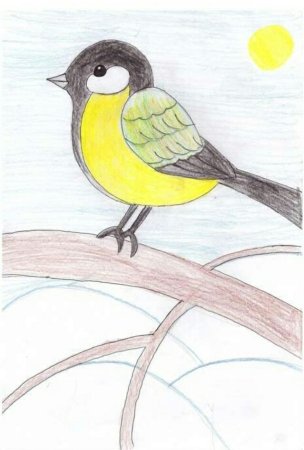 Синица рисунок