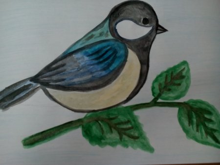 Рисование в старшей группе синица на ветке