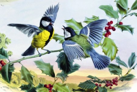 Аппликация на тему Синичкин день