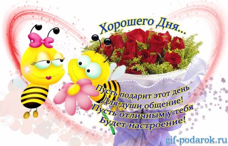 Поздравление с добрым днем