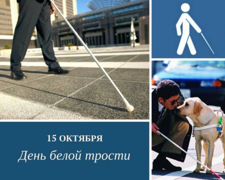 Всемирный день белой трости