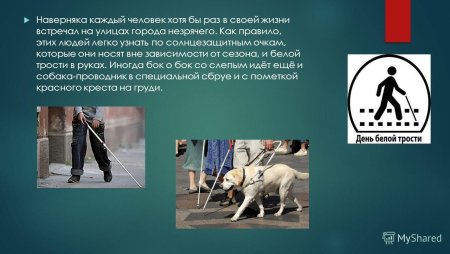 Международный день белой трости - символа незрячего человека