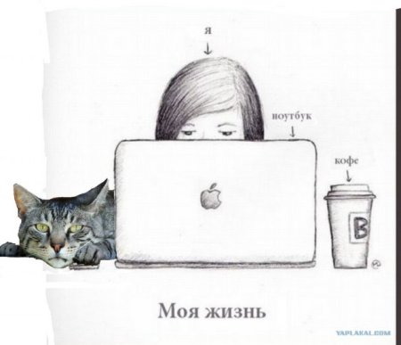 Рисунки в ЛД для срисовки с надписями