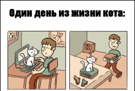 Один день из жизни рисунок
