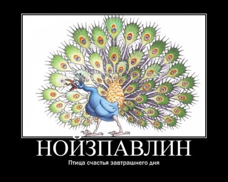 Птица счастья завтрашнего дня