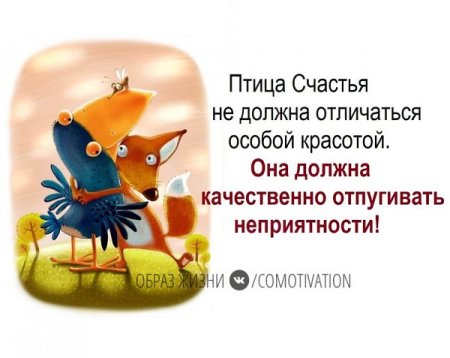 Счастье не птица