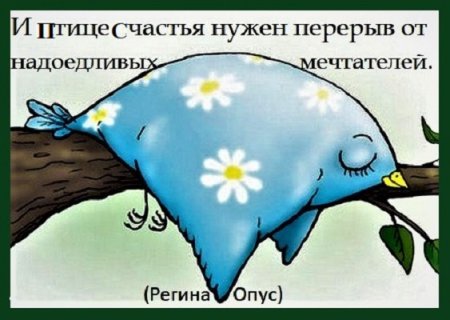 Птица счастья картинки прикольные с надписями