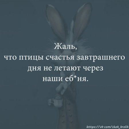 Жаль что птицы завтрашнего