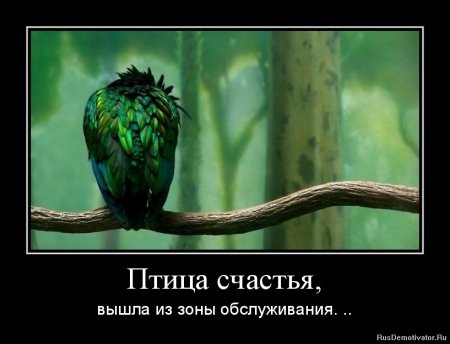 Смешная птица счастья