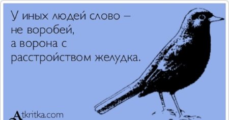 Смешные цитаты про птиц