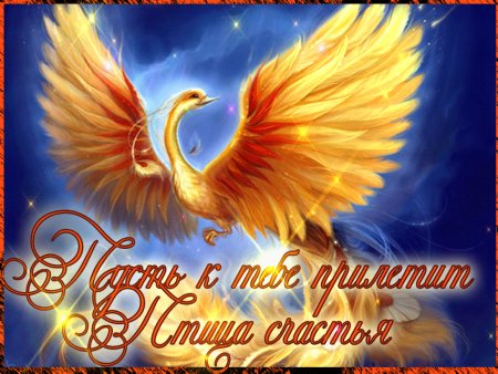Открытка птица счастья