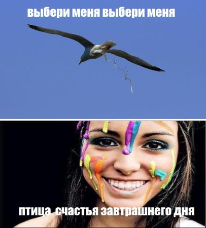 Выбери меня птица счастья завтрашнего дня