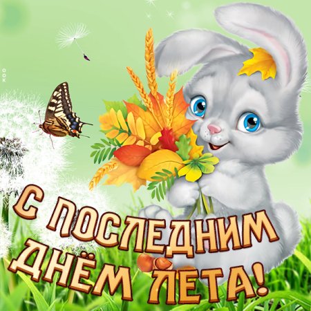 С летом поздравления