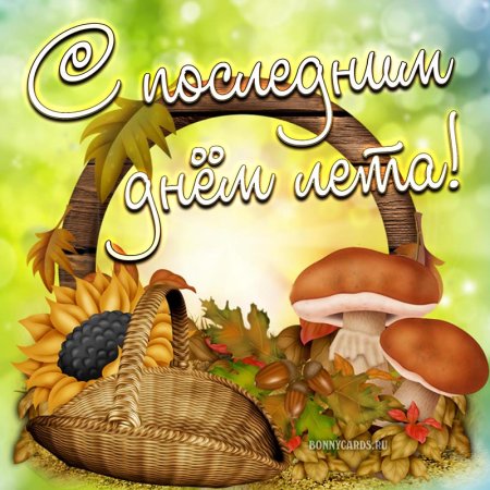 До свидания лето