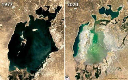 Геоглифы Аральского моря