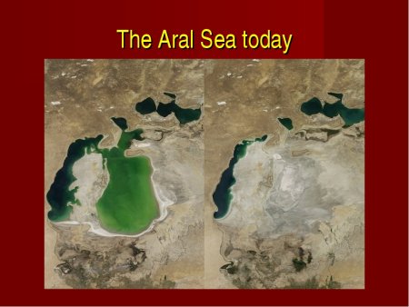 Аральское море снимок 2020