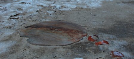 Аральское море до и после 2022
