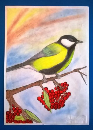 Рисование с детьми синичка