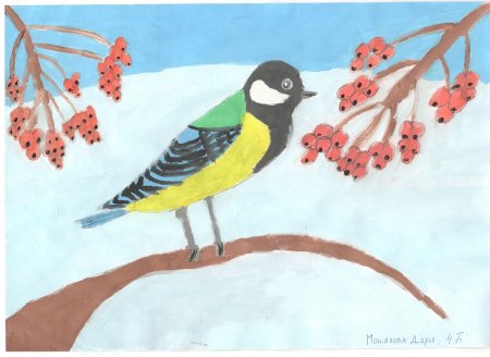 Рисунки к Синичкину Дню