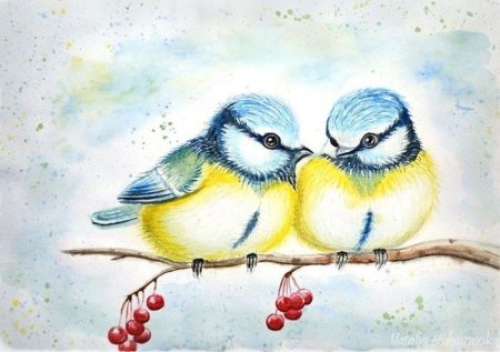 Синичка цветными карандашами