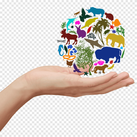 Экология логотип