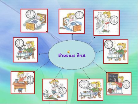 Здоровый образ жизни соблюдение режима дня