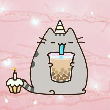 Пушин Кэт день рождения