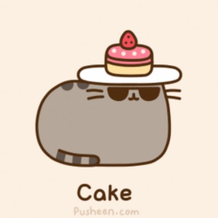 Котик Пушин с тортиком